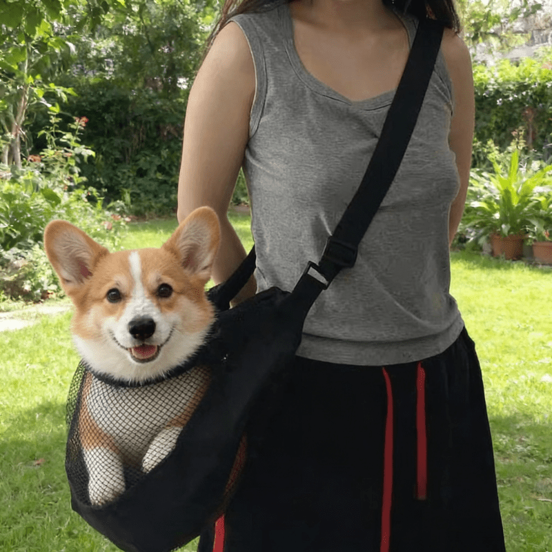 Lightweight Breathable Mesh Do - Travel Accessories For Dogs 评论和价格