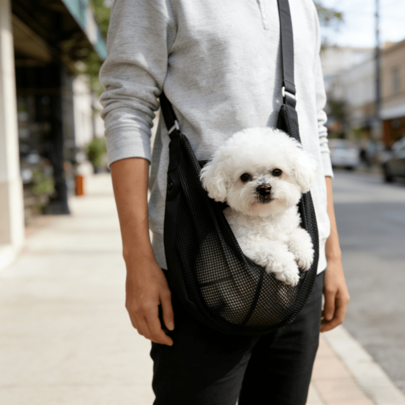 Lightweight Breathable Mesh Do - Travel Accessories For Dogs 评论和价格