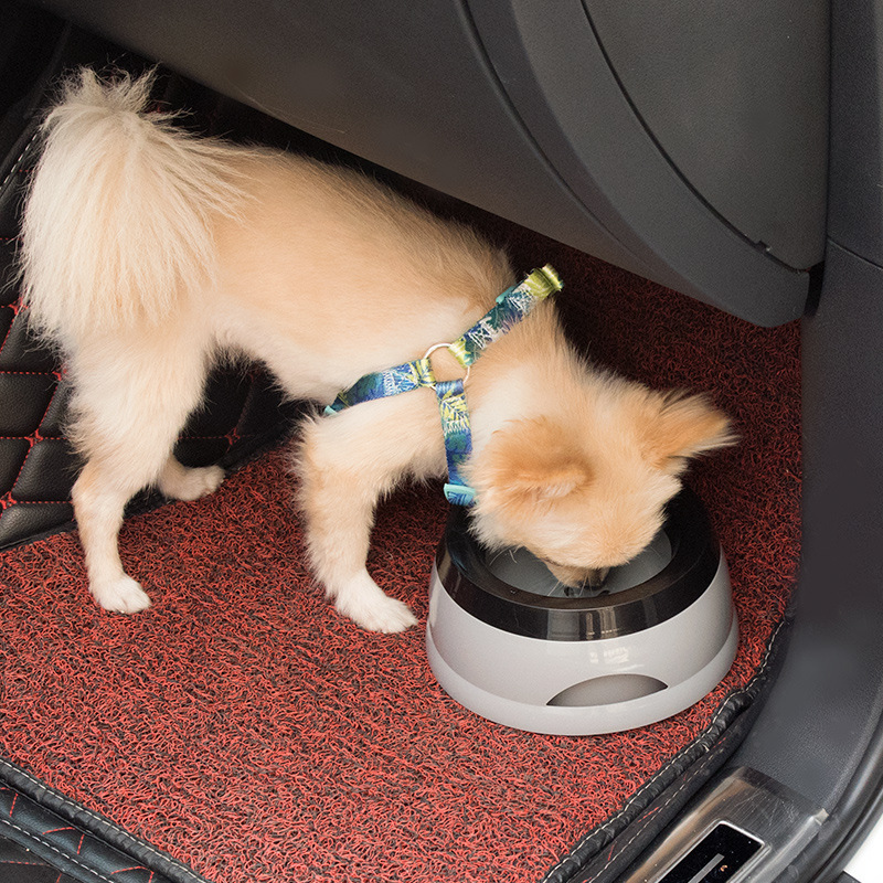 Pet Dog Bowls Floating Not Wet - Travel Accessories For Dogs 评论和价格
