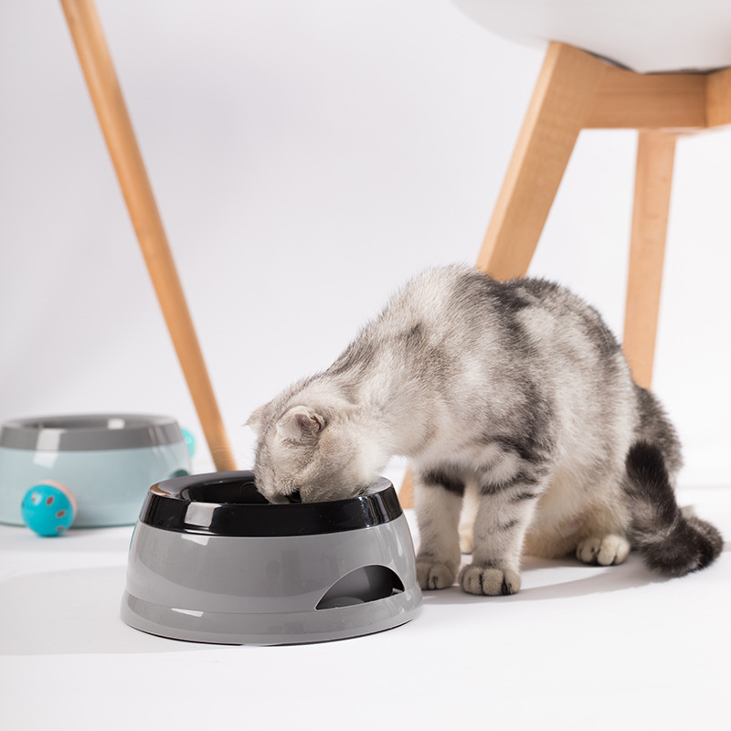 Pet Dog Bowls Floating Not Wet - Travel Accessories For Dogs 评论和价格