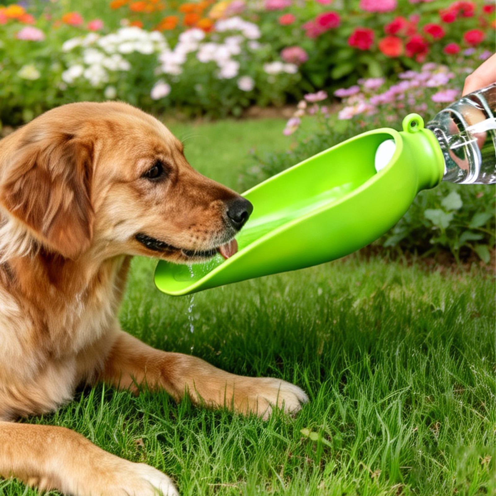 Dog Travel Water Bowl Silicone - Travel Accessories For Dogs 评论和价格